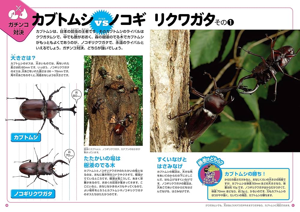 Amazon.co.jp: どっちが強い?どちらがスゴイ?生き物対決